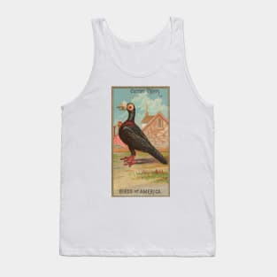 Carrier Pigeon Birds of America Antique Illustration Tank Top